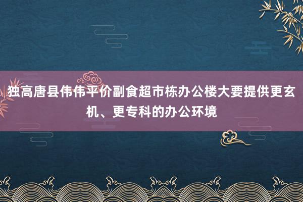 独高唐县伟伟平价副食超市栋办公楼大要提供更玄机、更专科的办公环境